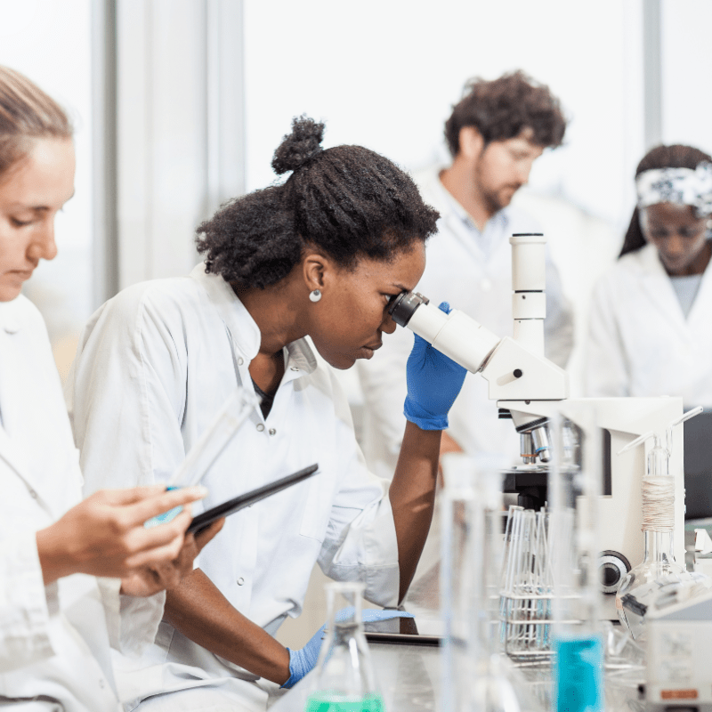 Image 2024 10 09 T16 07 30