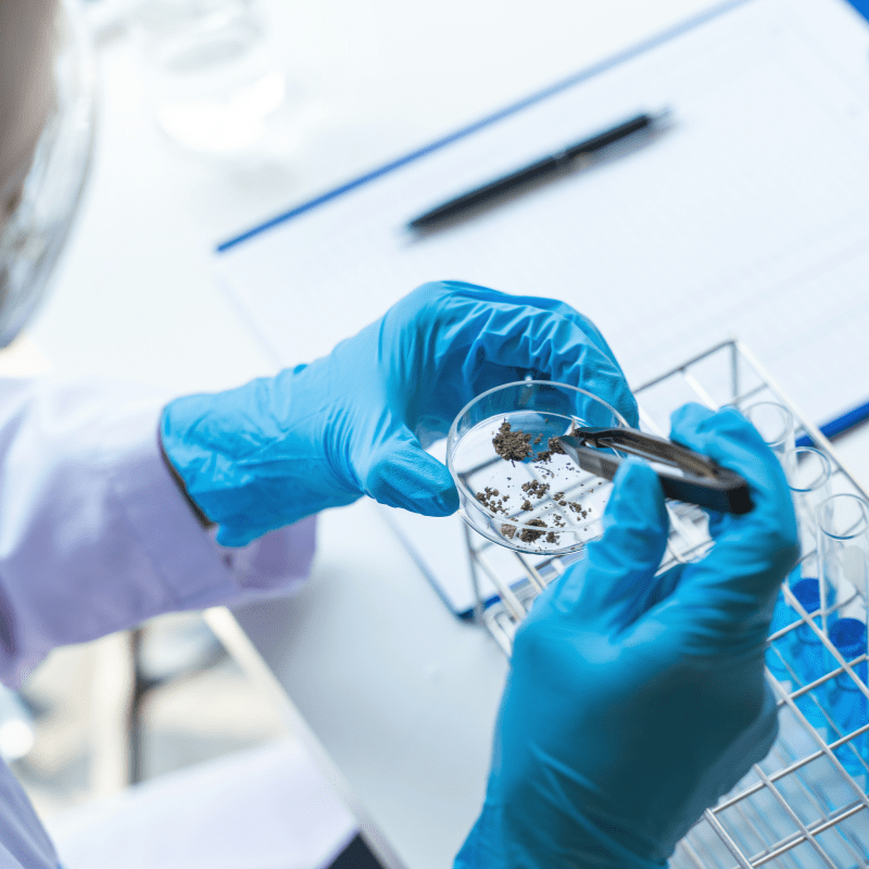 Image 2024 10 09 T16 07 30